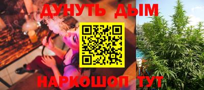 сатива Краснокаменск