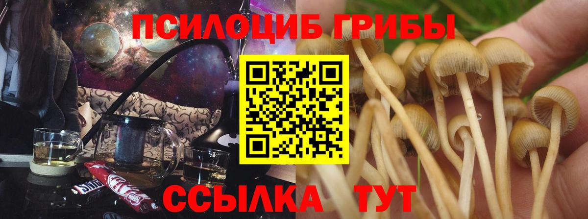 Псилоцибиновые грибы прущие грибы Гусиноозёрск